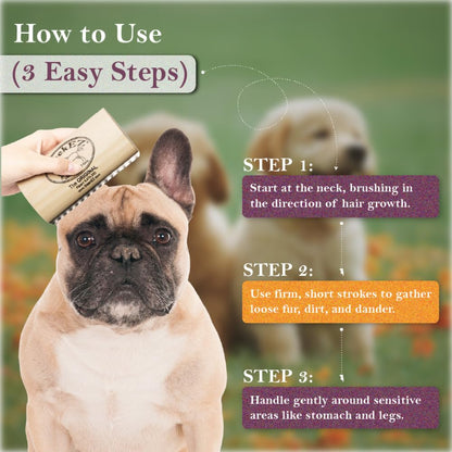 Remove Up to 95% of Loose Hair & Dander in Minutes